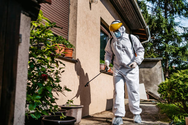 Best Wasp Removal Services  in East Peoria, IL