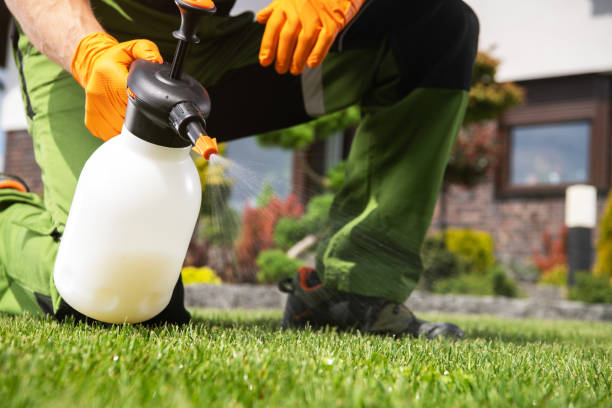 Best Mosquito Control Services  in East Peoria, IL