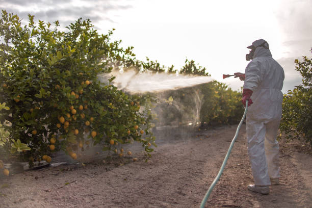 Best Flea Control Services  in East Peoria, IL