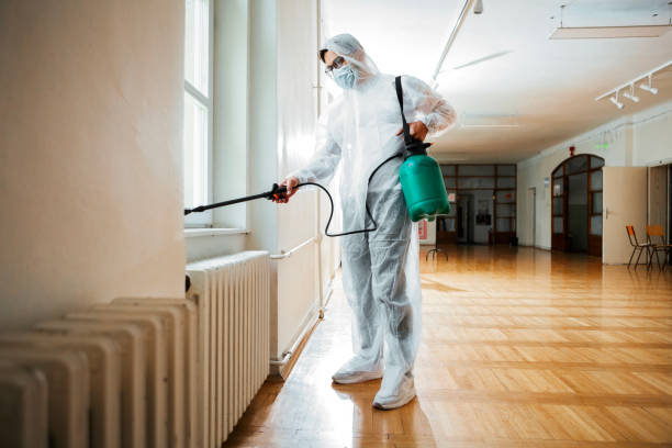 Wasp Removal Services in East Peoria, IL