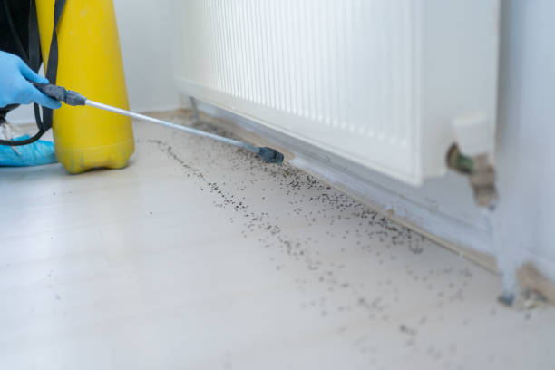 Best Best Pest Control Companies  in East Peoria, IL