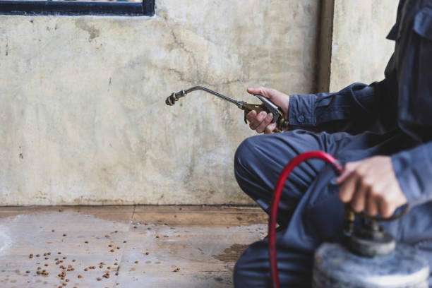 Best Commercial Pest Control Services  in East Peoria, IL